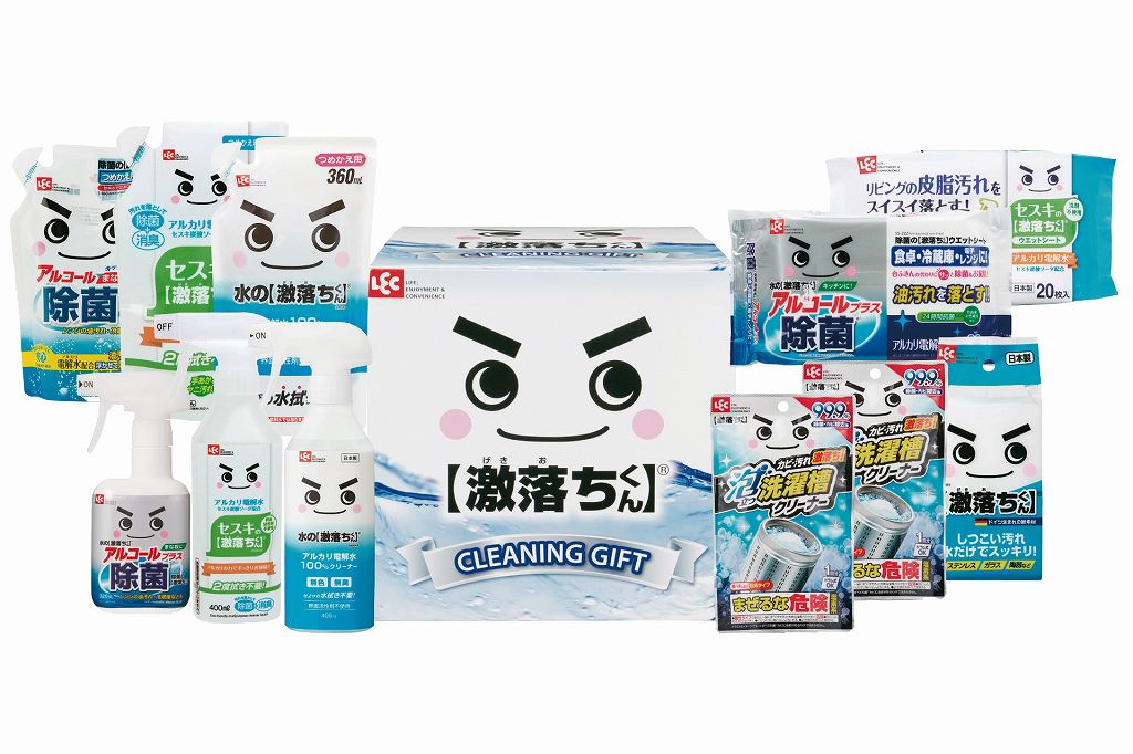 御祝.お返し,引出物,記念品は:レック 激落ちくんギフト LGG-500S