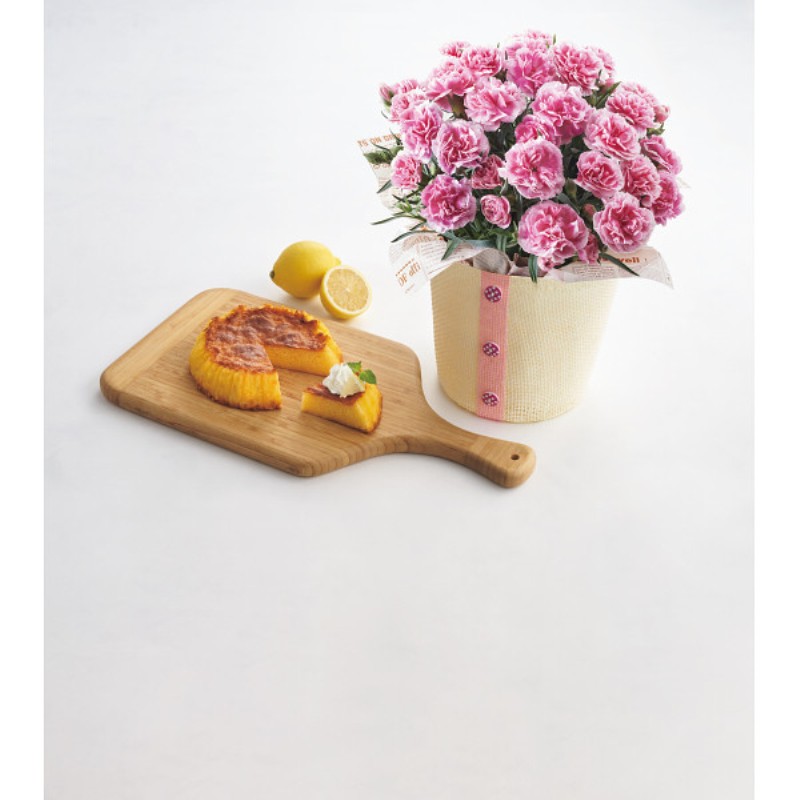 御祝.お返し,引出物,記念品は:【母の日専用】瀬戸内レモンのしっとりカステラとカーネーション鉢植え５号のセット商品のお届け期間：5.6(水)～5.10(日)。5月6日以降のご注文は「遅れてごめんね」対応となります。