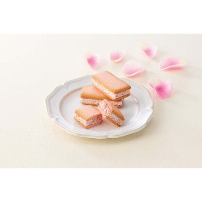 御祝.お返し,引出物,記念品は:【母の日専用】苺きららとカーネーション鉢植え「いちごホイップ」５号のセット商品のお届け期間：5.6(水)～5.10(日)。5月6日以降のご注文は「遅れてごめんね」対応となります。