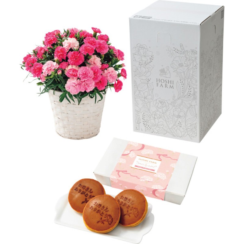 御祝.お返し,引出物,記念品は:【母の日専用】ホシファーム　カーネーション鉢植え「ホットハート」５号＆徳島なると金時のどら焼き商品のお届け期間：5.6(水)～5.10(日)。5月6日以降のご注文は「遅れてごめんね」対応となります。