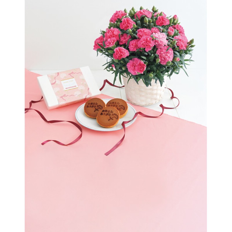 御祝.お返し,引出物,記念品は:【母の日専用】ホシファーム　カーネーション鉢植え「ホットハート」５号＆徳島なると金時のどら焼き商品のお届け期間：5.6(水)～5.10(日)。5月6日以降のご注文は「遅れてごめんね」対応となります。