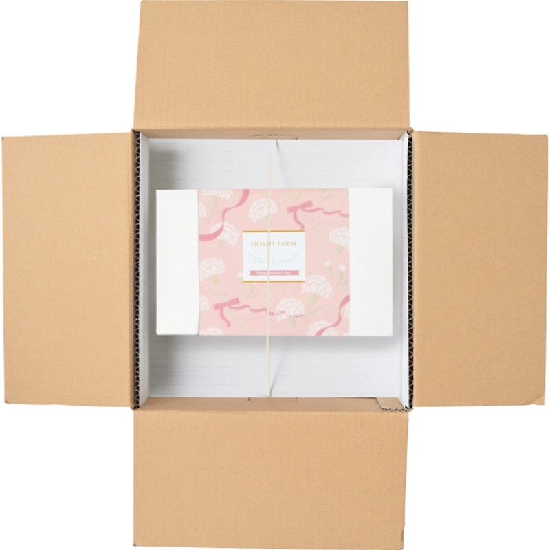 御祝.お返し,引出物,記念品は:【母の日専用】ホシファーム　カーネーション鉢植え「ホットハート」５号＆徳島なると金時のどら焼き商品のお届け期間：5.6(水)～5.10(日)。5月6日以降のご注文は「遅れてごめんね」対応となります。