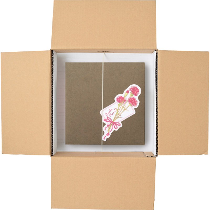 御祝.お返し,引出物,記念品は:【母の日専用】ホシファーム　カーネーション鉢植え「ホットハート」５号＆焦がしキャラメルがしみ込んだバーム商品のお届け期間：5.6(水)～5.10(日)。5月6日以降のご注文は「遅れてごめんね」対応となります。