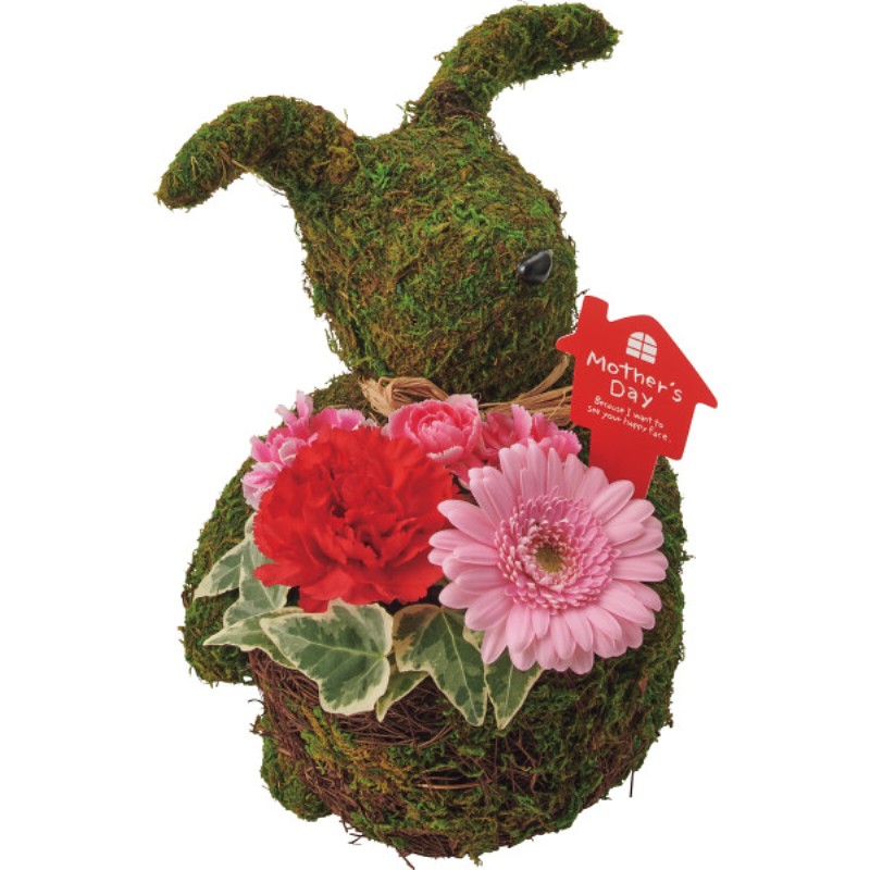 御祝.お返し,引出物,記念品は:【母の日専用】モスラビット・アレンジ商品のお届け期間：5.6(水)～5.10(日)。5月6日以降のご注文は「遅れてごめんね」対応となります。