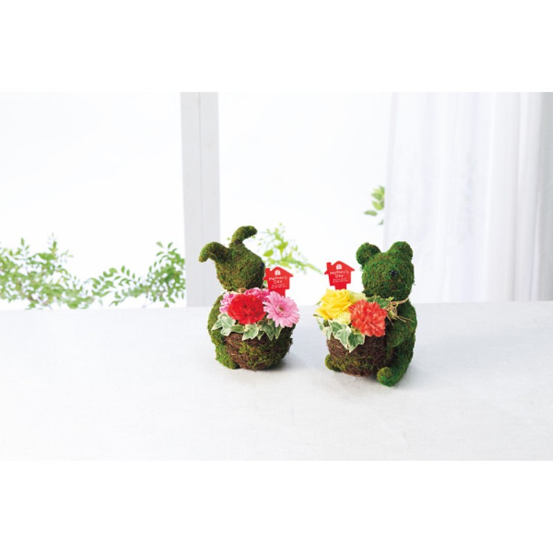 御祝.お返し,引出物,記念品は:【母の日専用】モスラビット・アレンジ商品のお届け期間：5.6(水)～5.10(日)。5月6日以降のご注文は「遅れてごめんね」対応となります。