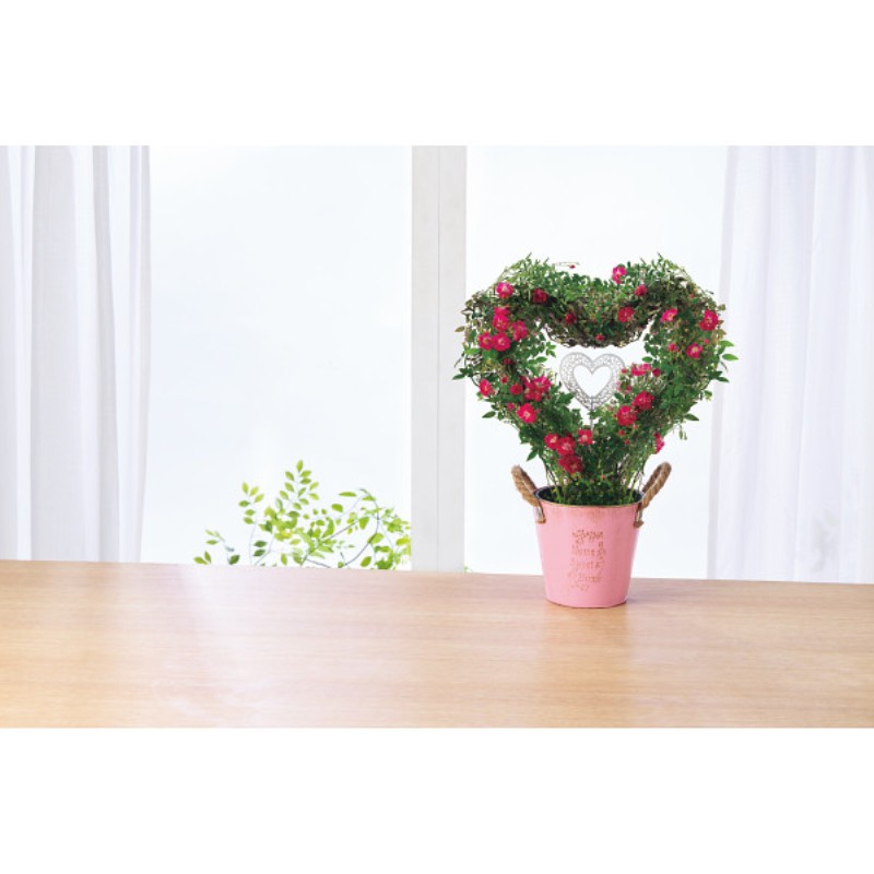 御祝.お返し,引出物,記念品は:【母の日専用】つるバラ　プリティーハートリング商品のお届け期間：5.6(水)～5.10(日)。5月6日以降のご注文は「遅れてごめんね」対応となります。