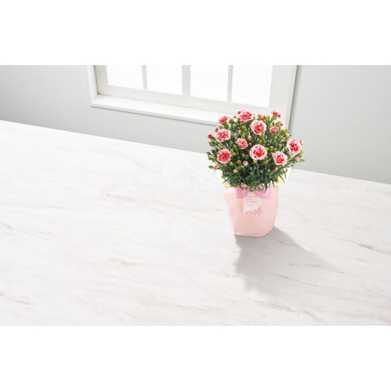 御祝.お返し,引出物,記念品は:【母の日専用】カーネーション鉢植え「いちごホイップ」５号商品のお届け期間：5.6(水)～5.10(日)。5月6日以降のご注文は「遅れてごめんね」対応となります。