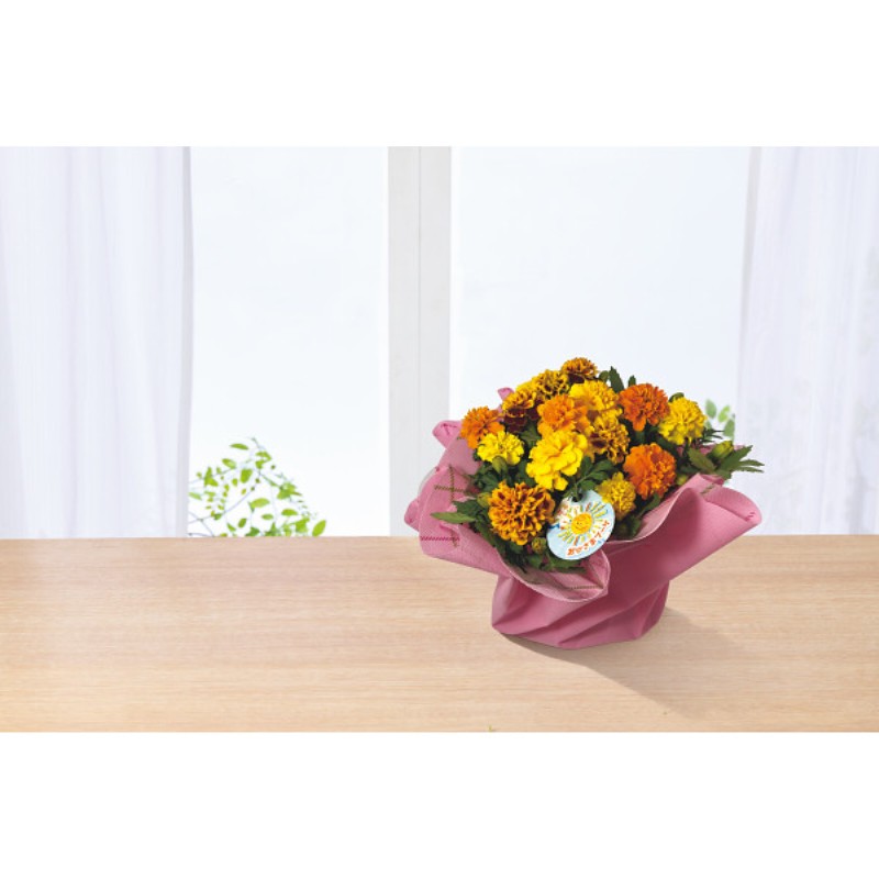 御祝.お返し,引出物,記念品は:【母の日専用】マリーゴールド鉢植え　おひさまブーケ商品のお届け期間：5.6(水)～5.10(日)。5月6日以降のご注文は「遅れてごめんね」対応となります。