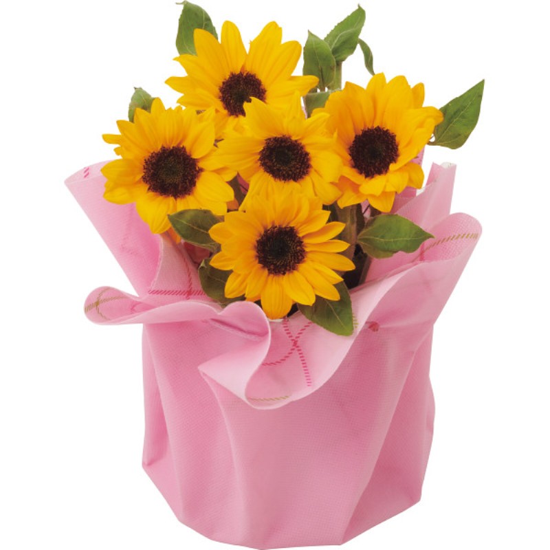 御祝.お返し,引出物,記念品は:【母の日専用】ひまわり鉢植え「サンリッチオレンジ」商品のお届け期間：5.6(水)～5.10(日)。5月6日以降のご注文は「遅れてごめんね」対応となります。