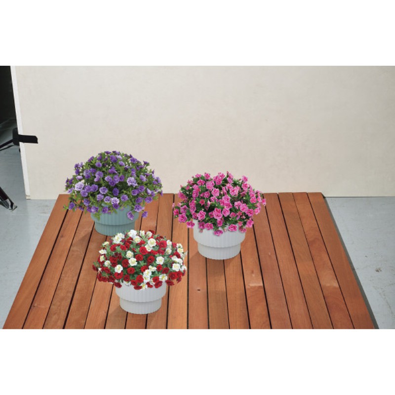 御祝.お返し,引出物,記念品は:【母の日専用】スーパーベル ダブルブルー商品のお届け期間：5.6(水)～5.10(日)。5月6日以降のご注文は「遅れてごめんね」対応となります。