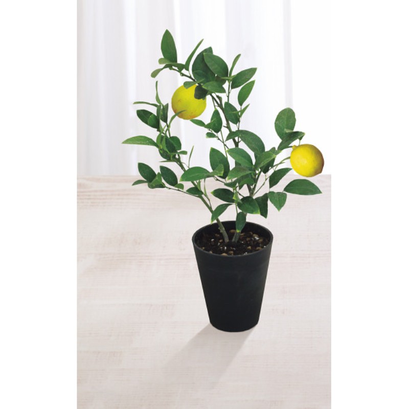 御祝.お返し,引出物,記念品は:【母の日専用】レモン鉢植え商品のお届け期間：5.6(水)～5.10(日)。5月6日以降のご注文は「遅れてごめんね」対応となります。