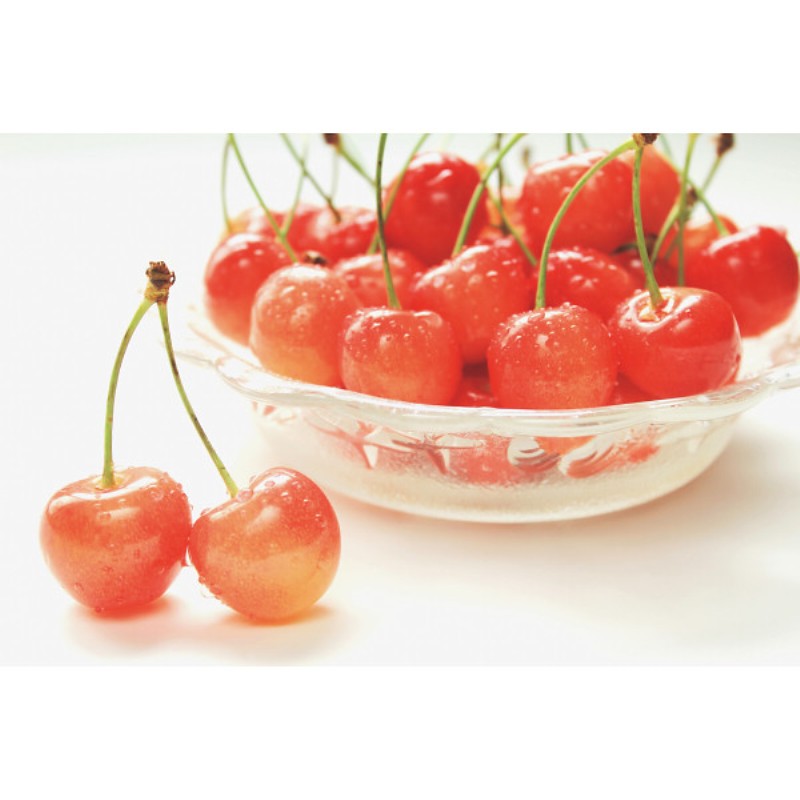 御祝.お返し,引出物,記念品は:母の日専用　ハウスさくらんぼ佐藤錦特秀３００ｇとカーネ商品のお届け期間：5.6(水)～5.10(日)。5月6日以降のご注文は「遅れてごめんね」対応となります。