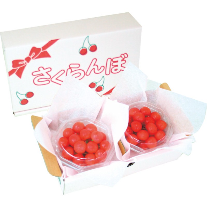 御祝.お返し,引出物,記念品は:【母の日専用】佐藤錦　ハウスさくらんぼ商品のお届け期間：5.6(水)～5.10(日)。4月27日以降のご注文は「遅れてごめんね」対応となります。