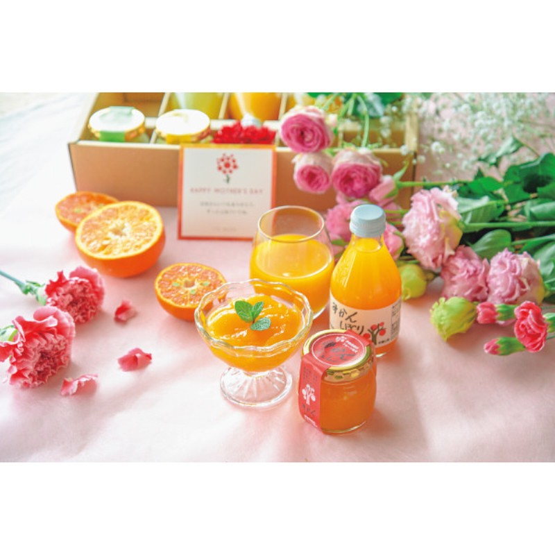 御祝.お返し,引出物,記念品は:【母の日専用】伊藤農園　果汁１００％ピュアジュース＆寒天ジュレセット商品のお届け期間：5.6(水)～5.10(日)。5月6日以降のご注文は「遅れてごめんね」対応となります。