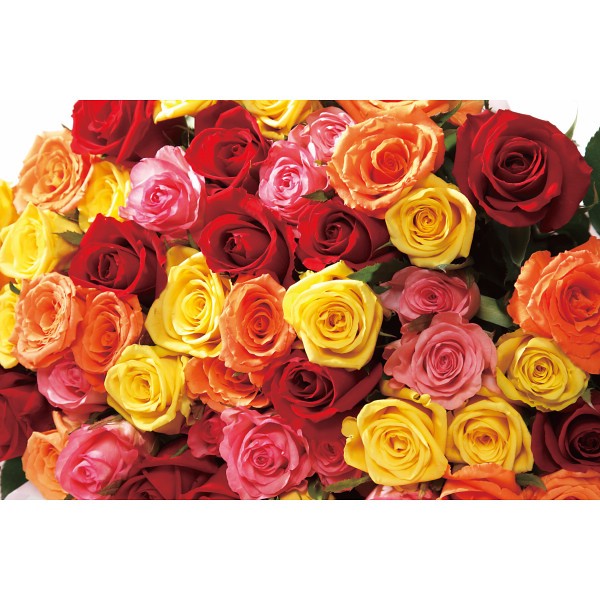 御祝.お返し,引出物,記念品は:バラの花束　１６本から２０本までのお申し込み ミックス 19MX16-20
