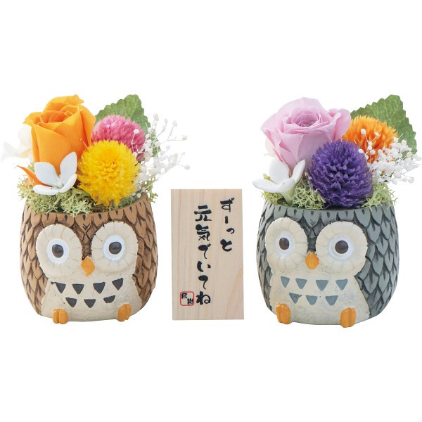 御祝.お返し,引出物,記念品は:しあわせふくろう２色セット（プリザーブドフラワー） 1778978