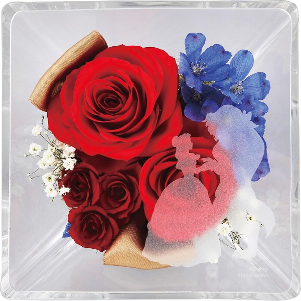 御祝.お返し,引出物,記念品は:エテルネルフルール　ディズニープリンセス（美女と野獣） 2022DO-002SH