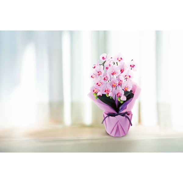 御祝.お返し,引出物,記念品は:アーティフィシャルフラワー　３本立ミニ胡蝶蘭 ラベンダー ncr-minipo-lv