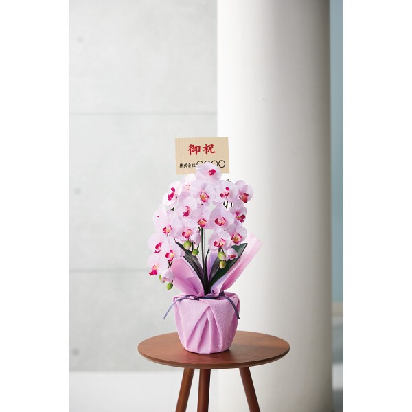 御祝.お返し,引出物,記念品は:アーティフィシャルフラワー　３本立ミニ胡蝶蘭（立札付／お名入れ） ラベンダー ncr-minipo-lv-fd