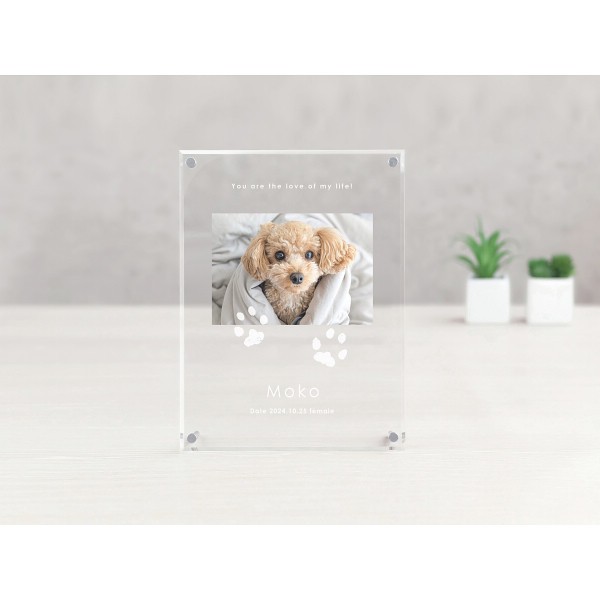 御祝.お返し,引出物,記念品は:うちの子記念日　アクリルたてがた（お仕立券） P-CA10T