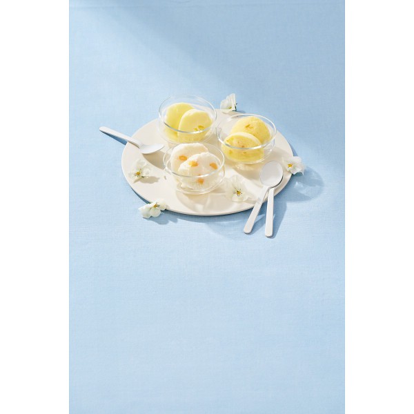 御祝.お返し,引出物,記念品は:ザ・スウィーツ　日本の柑橘シャーベット（１５個） 1755881