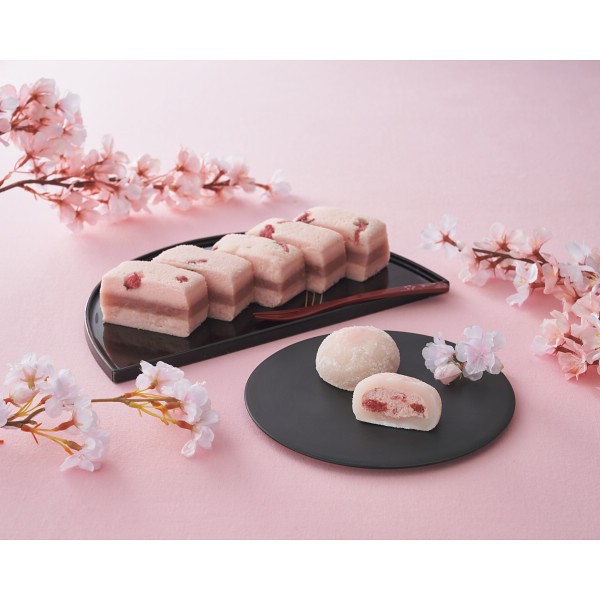 御祝.お返し,引出物,記念品は:新杵堂　桜ふわふわ・苺ムース大福セット 1745430