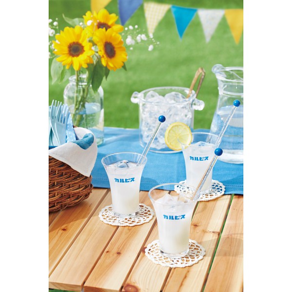 御祝.お返し,引出物,記念品は:「カルピス」ギフトセット（２本） CN10P