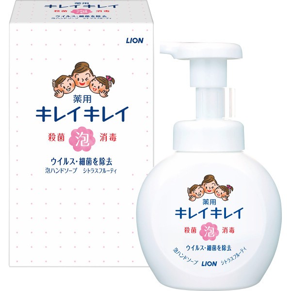 御祝.お返し,引出物,記念品は:ライオン　キレイキレイ薬用泡ハンドソープ（２５０ｍｌ箱入） ｷﾚｲ250泡 箱