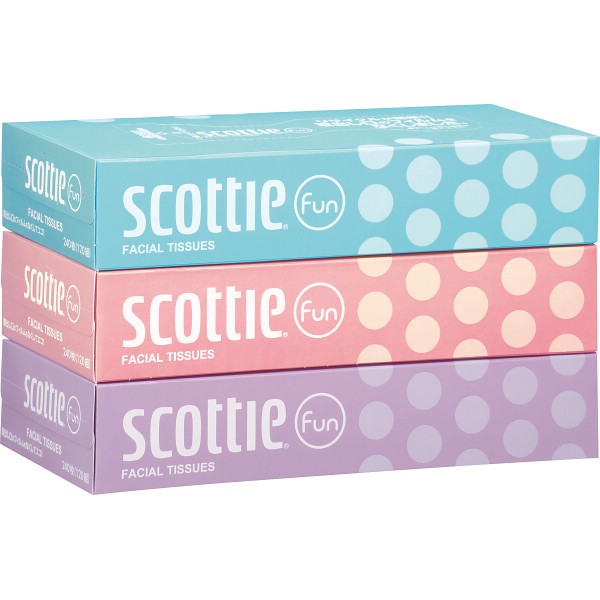 御祝.お返し,引出物,記念品は:スコッティファン１２０組（３箱パック） 48809