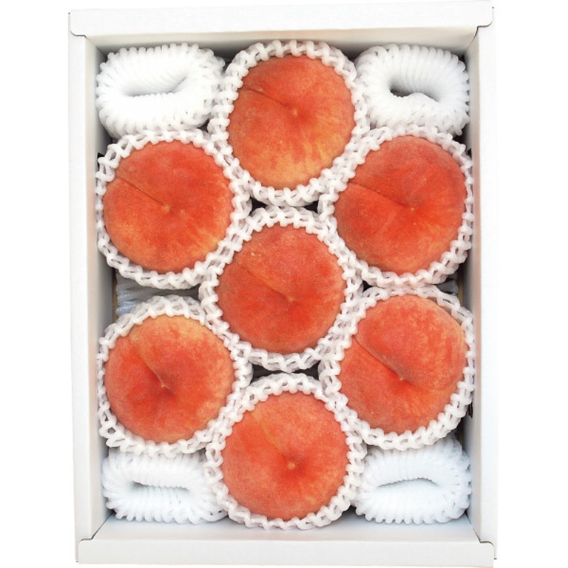 2026年お中元特別企画 白桃（２ｋｇ）