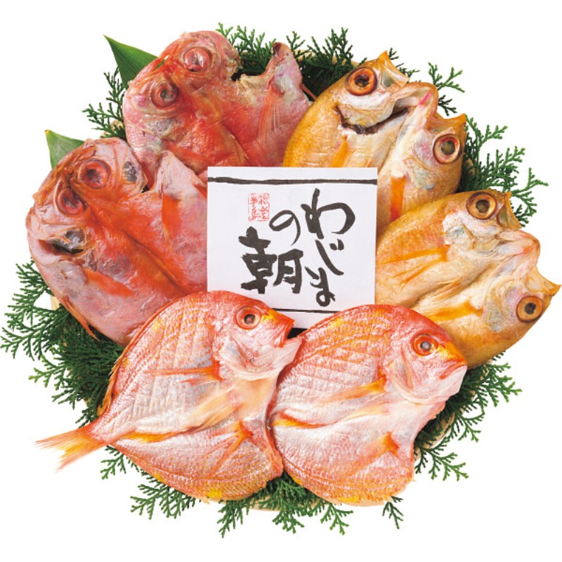 2026年お中元特別企画 わじまの朝　のどぐろ開きと干物セット