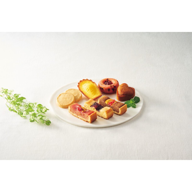 2026年お中元特別企画 ハリーズレシピ　タルト・焼き菓子セット  ＳＨＨＲ５０Ｓ