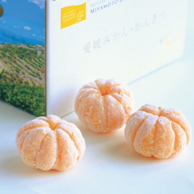 2026年お中元特別企画 ミヤモトオレンジガーデン　冷凍みかん（皮なし）（１ｋｇ）