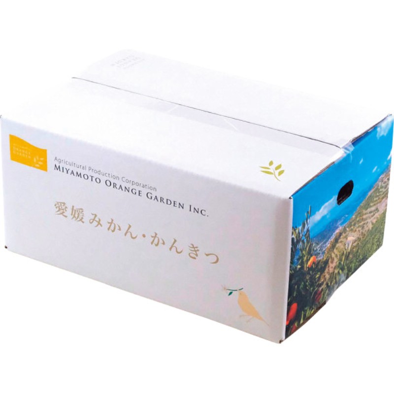 2026年お中元特別企画 ミヤモトオレンジガーデン　冷凍みかん（皮なし）（１ｋｇ）