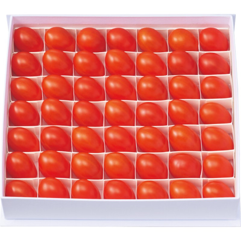 2026年お中元特別企画 オスミック　ファースト　プリンセス（４５０ｇ）