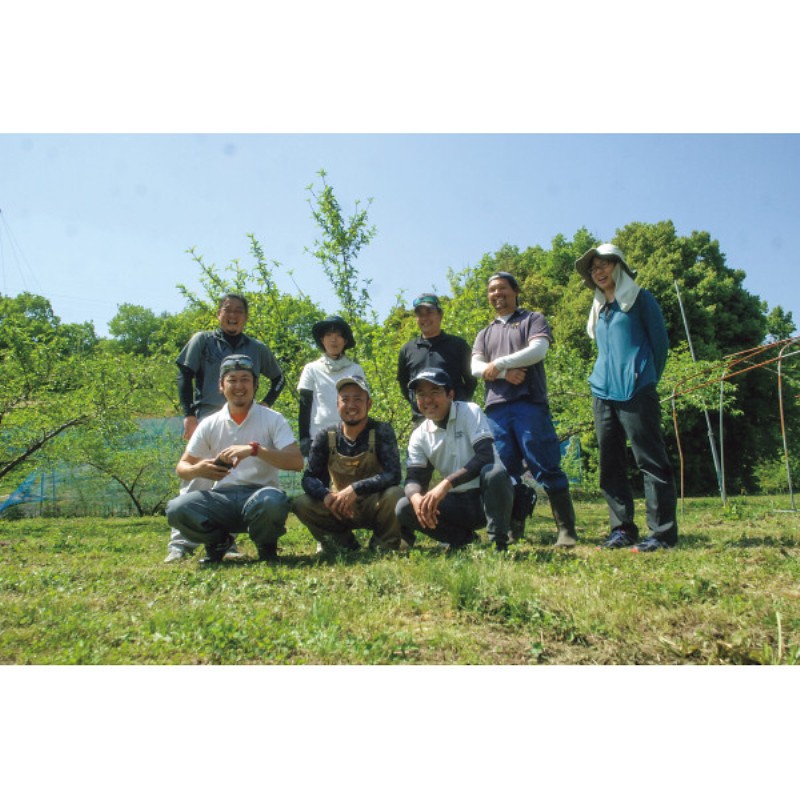 2026年お中元特別企画 岡山県産　総社もも生産組合の桃（９００ｇ）