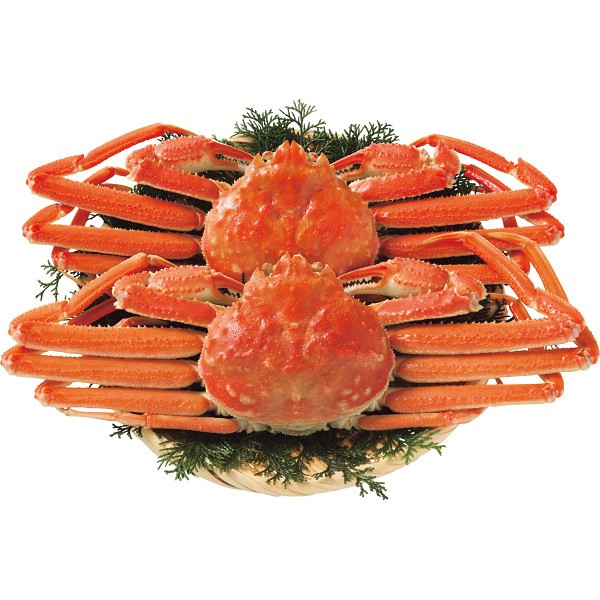 北海道産　ボイル大ずわいがに姿２尾（計１ｋｇ）