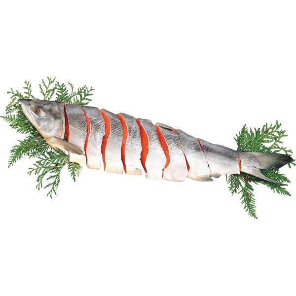 北海道産　新巻鮭半身切身（１ｋｇ）