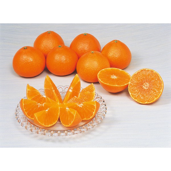 愛媛県産　紅まどんな　秀品（３ｋｇ）