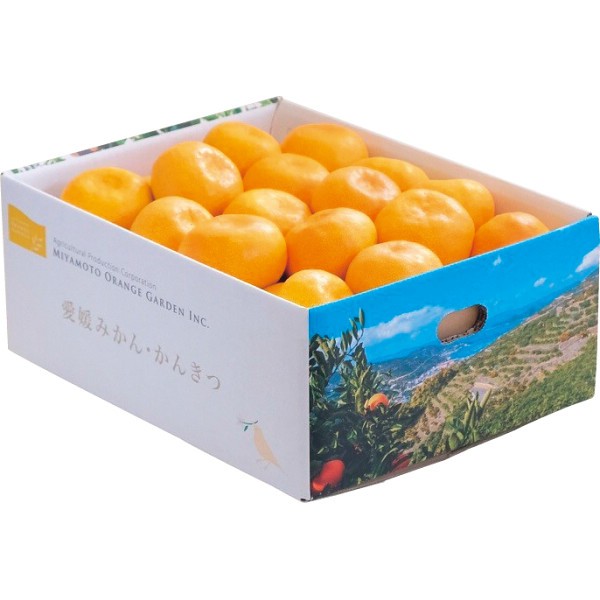 愛媛県西宇和産　温州みかん（３ｋｇ）