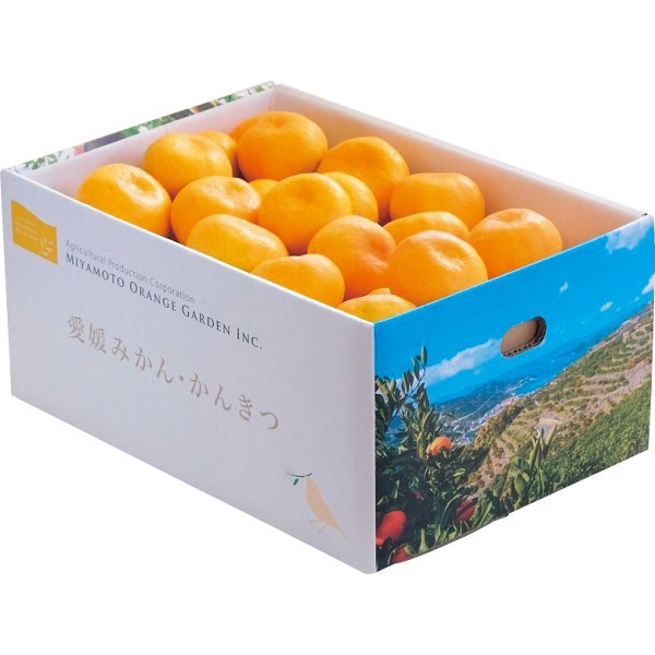 愛媛県西宇和産　温州みかん（５ｋｇ）