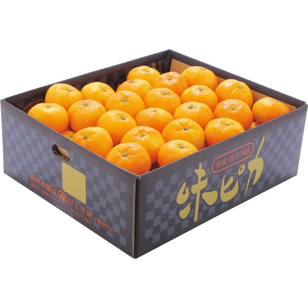 愛媛県産　ＪＡ西宇和　味ぴかみかん（５ｋｇ）