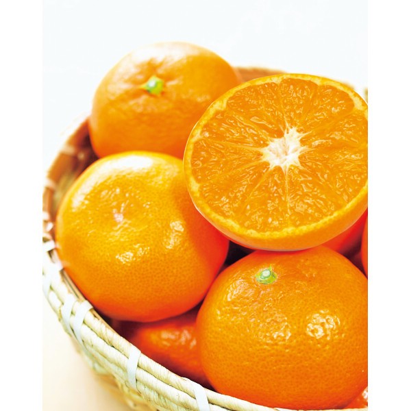 愛媛県産　ＪＡ西宇和　味ぴかみかん（５ｋｇ）