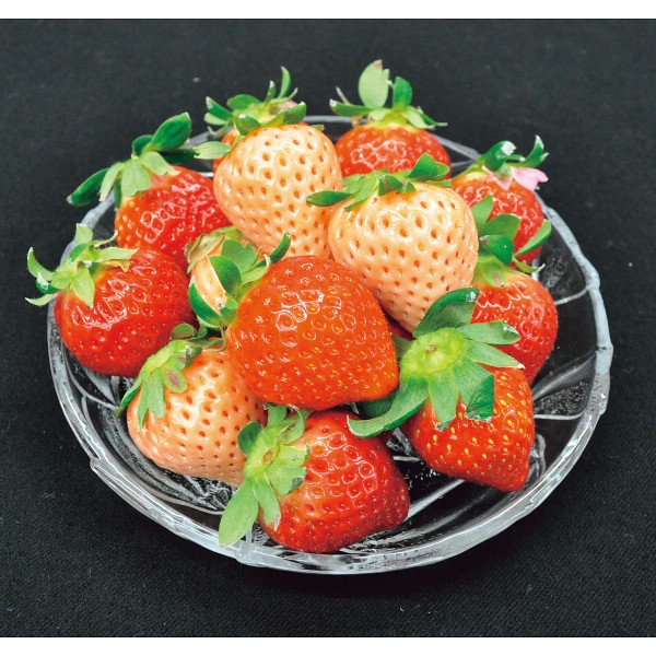 紅白いちご（計２５０ｇ）