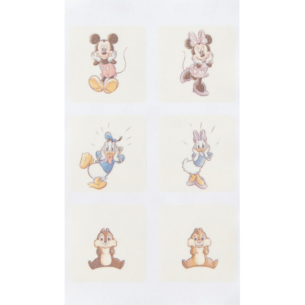 2027年おせち特別企画 おせち詰合せ／ディズニー　二段重