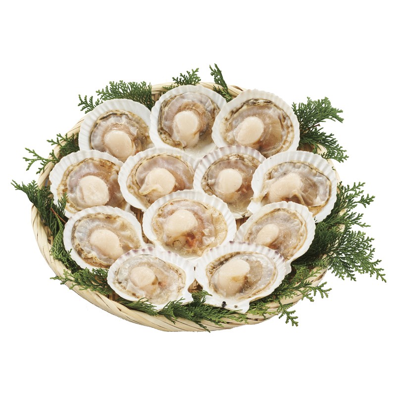 北海道産ほたて片貝12枚 L12