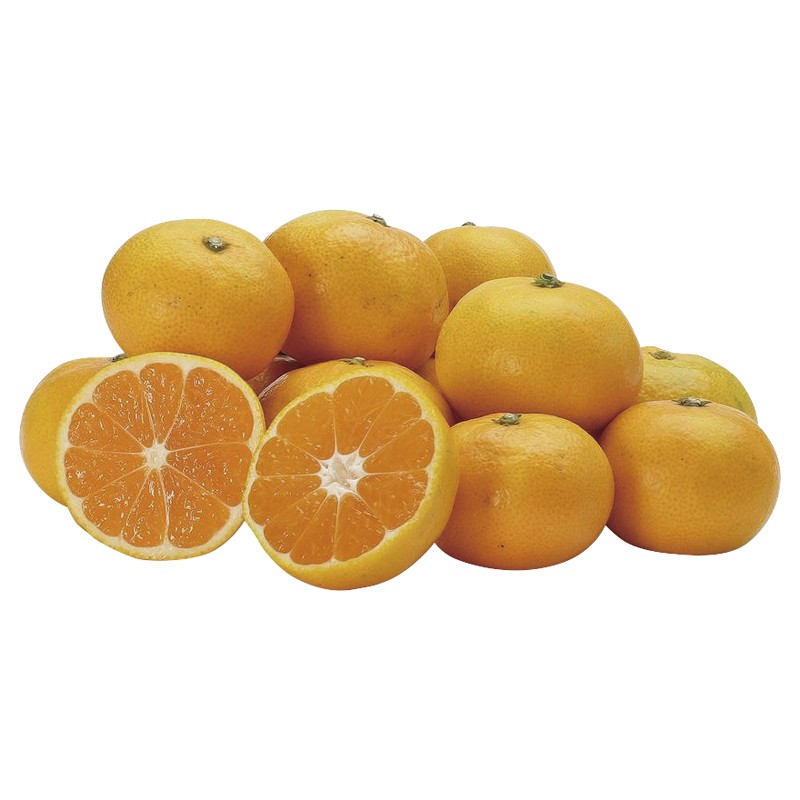 和歌山森本農園 紀州みかん3kg