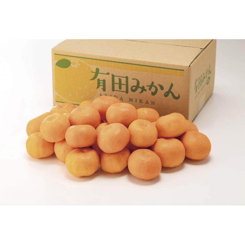 有田みかん 2.5kg 2612403