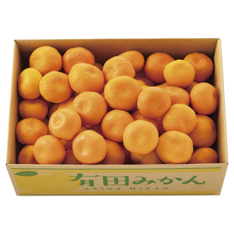 有田みかん 4kg 2612407