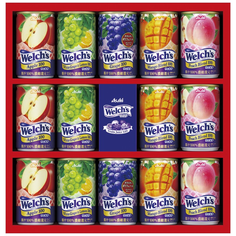 アサヒ飲料 Welch’sギフト No20 W20T